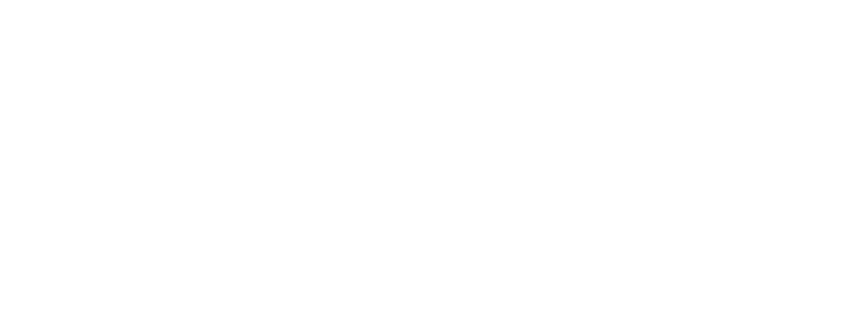 Fischer Konsulentin
